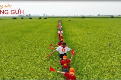 ☘️LƯU GIỮ NHỮNG KÝ ỨC TUỔI THƠ BÊN MÁI TRƯỜNG MẦM NON☘️